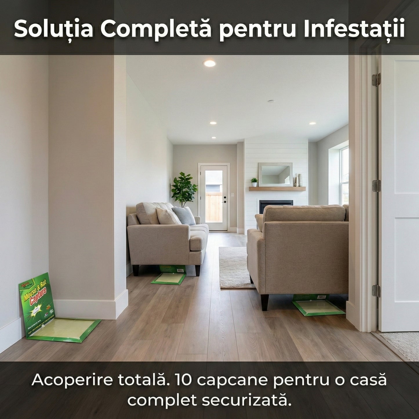 Set 10 Capcane cu Lipici pentru Șoareci și Șobolani, Adeziv Puternic cu Atractant, Non-Toxice, Siguranță pentru Casă și Depozite