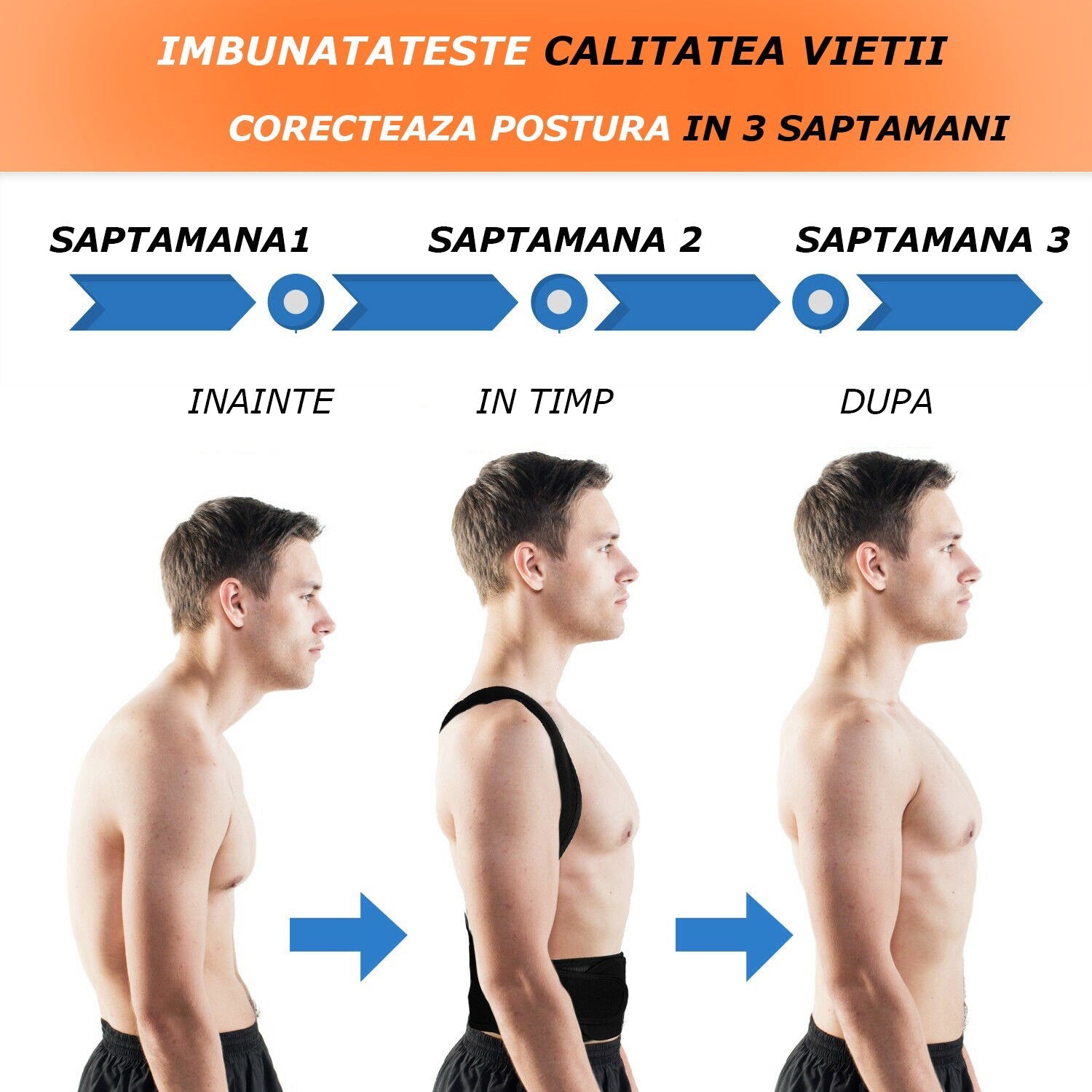 Centura Corectoare Spate, pentru Indreptarea Coloanei, Royal-Back