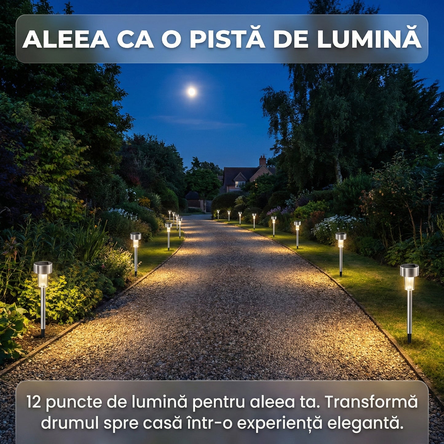 Set 12 Lămpi Solare LED de Grădină din Inox, Lumină Rece 6500K, Impermeabile IP44, Montare în Sol