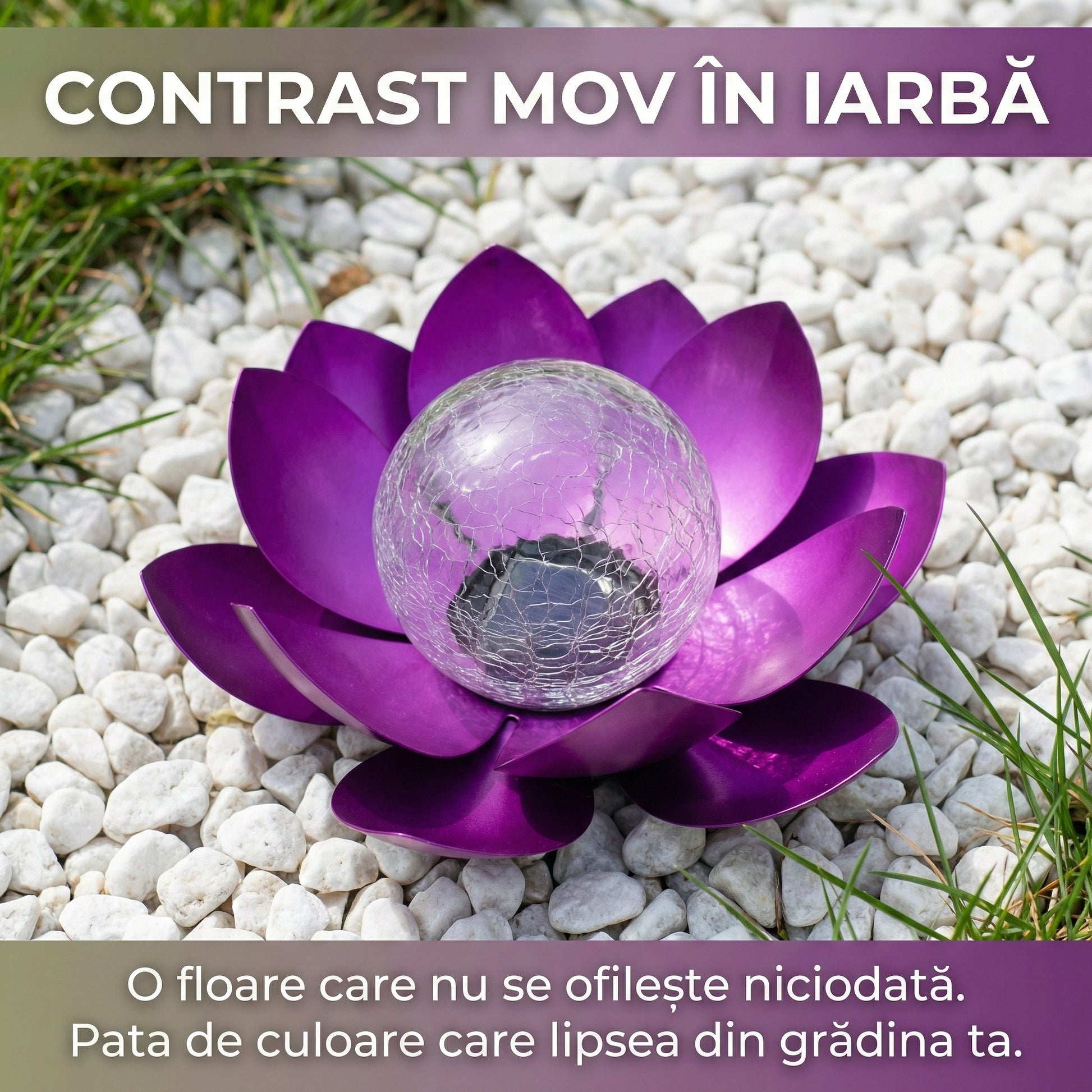 Lampă Solară Decorativă Grădină Tip Floare de Lotus, Metal și Glob de Sticlă Cracată, Efect Luminos Cald, Mov, 27 cm