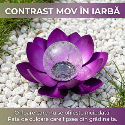 Lampă Solară Decorativă Grădină Tip Floare de Lotus, Metal și Glob de Sticlă Cracată, Efect Luminos Cald, Mov, 27 cm