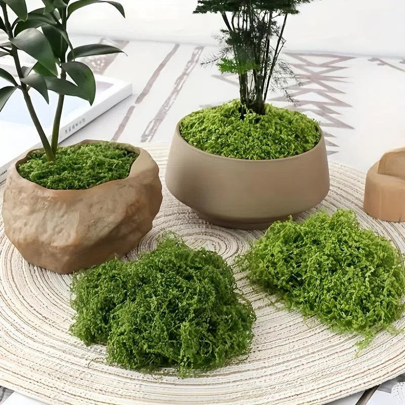 Mușchi Artificial 30g pentru Amenajări DIY – Decor Verde Simulat pentru Micro-Peisaje, Ghivece și Rocării