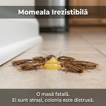Set 5 x Gel Anti-Gândaci Roach Doctor, Seringă Aplicare 30g, Eliminare Rapidă în 24h, Efect de Cascadă, Interior/Exterior